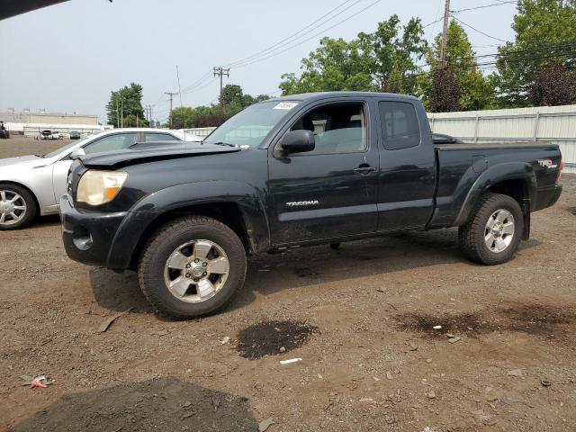 TOYOTA TACOMA ACC 2007 5teuu42nx7z335718