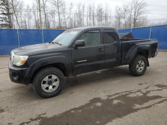 TOYOTA TACOMA 2007 5teuu42nx7z354771