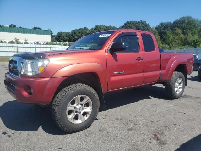 TOYOTA TACOMA ACC 2008 5teuu42nx8z497267