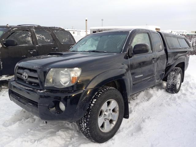 TOYOTA TACOMA 2010 5teuu4en0az679075