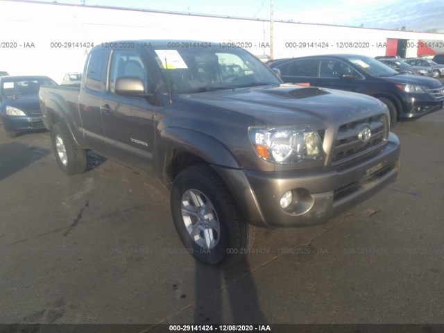 TOYOTA TACOMA 2010 5teuu4en2az687369