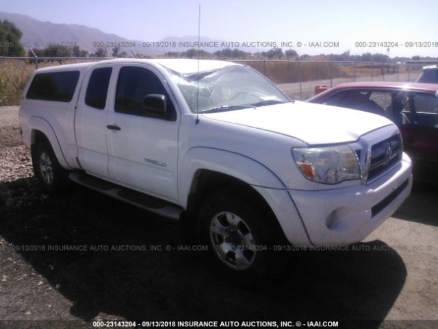 TOYOTA TACOMA 2010 5teuu4en2az737882