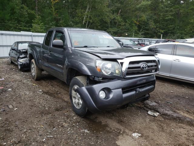 TOYOTA TACOMA ACC 2010 5teuu4en5az686622