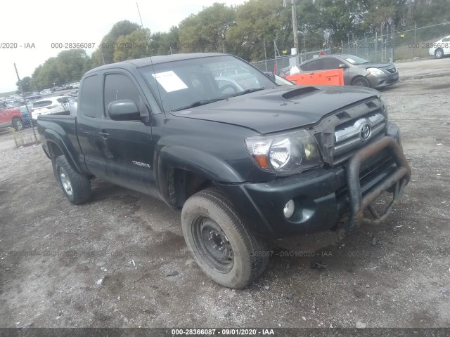 TOYOTA TACOMA 2010 5teuu4en5az710272