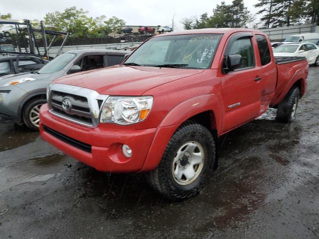 TOYOTA TACOMA ACC 2010 5teuu4en7az691093