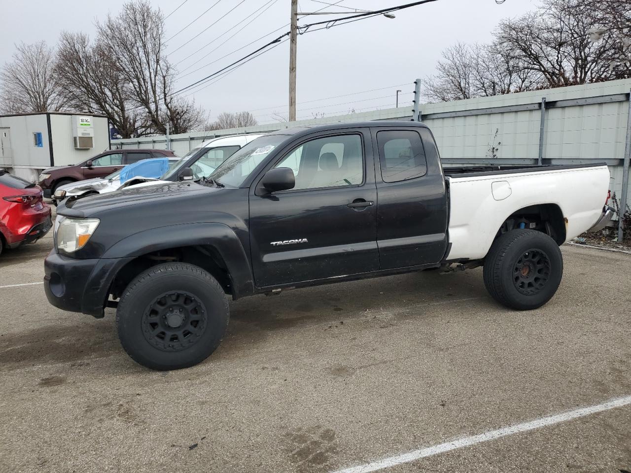 TOYOTA TACOMA 2006 5teux42n86z229693