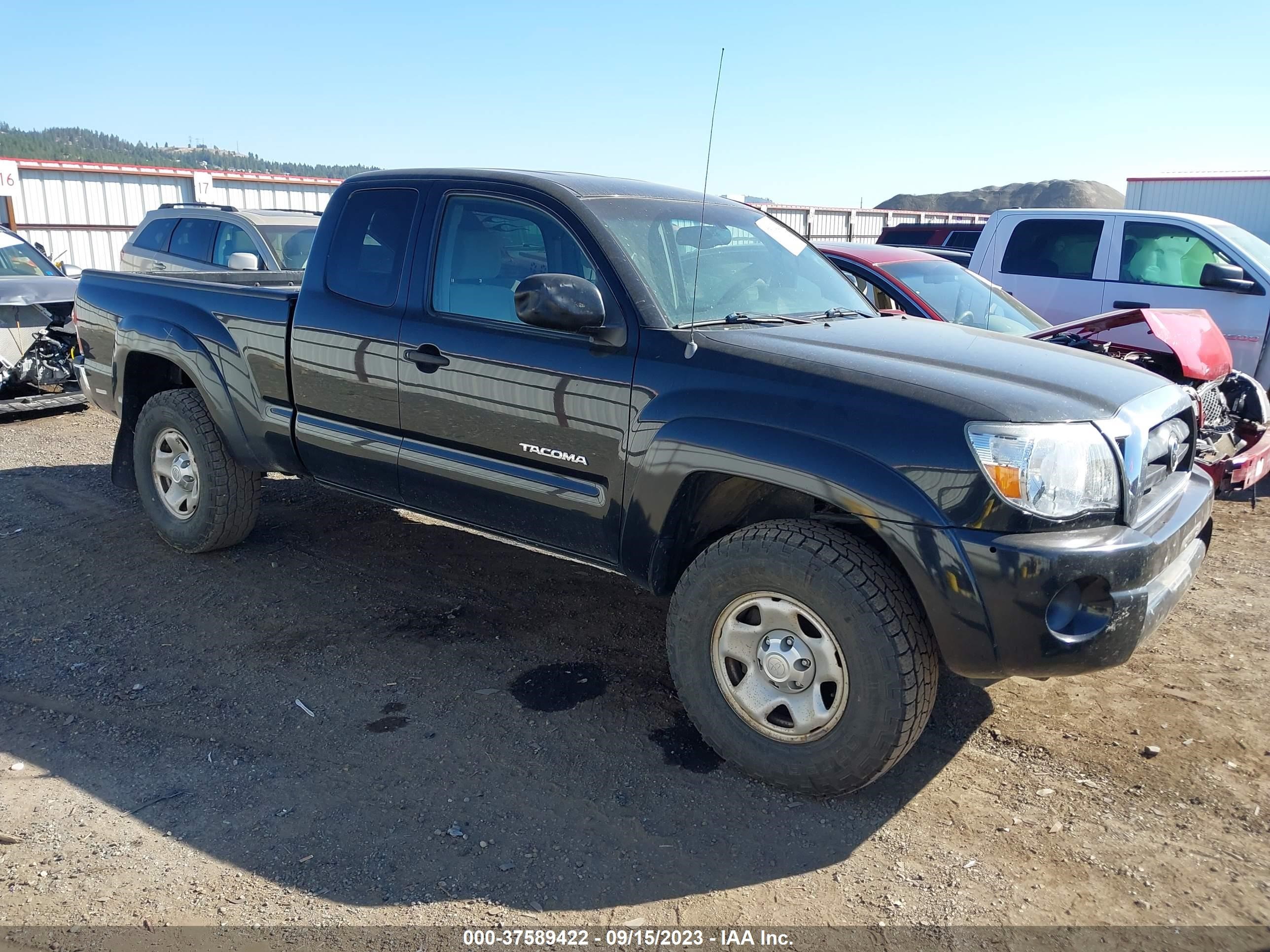 TOYOTA TACOMA 2005 5teux42nx5z056130