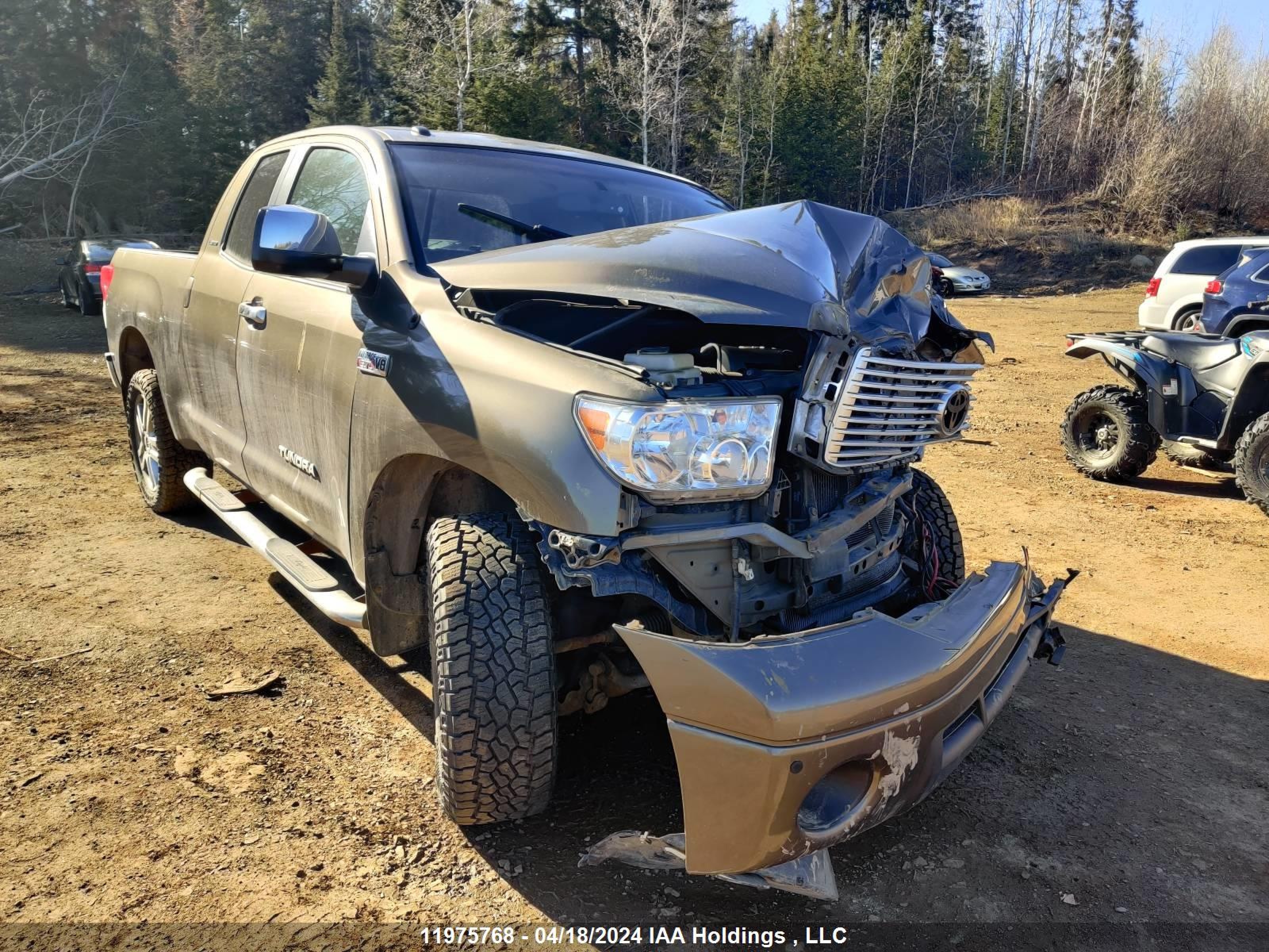 TOYOTA TUNDRA 2010 5tfbw5f11ax101769