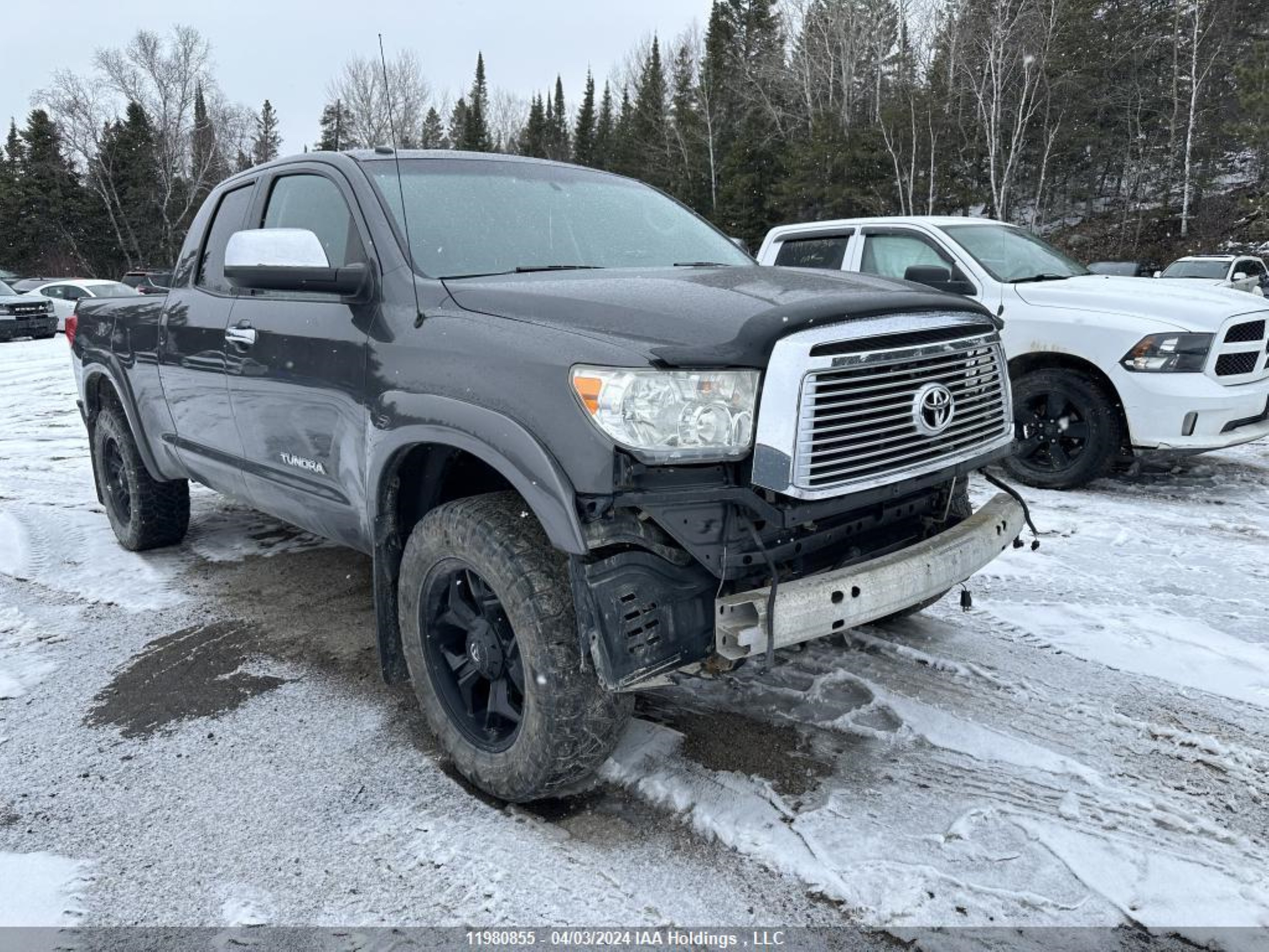 TOYOTA TUNDRA 2011 5tfby5f19bx205003