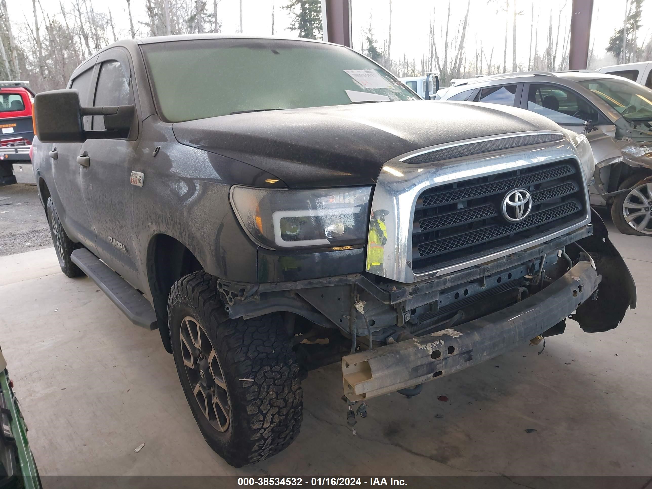 TOYOTA TUNDRA 2009 5tfdv54199x092068