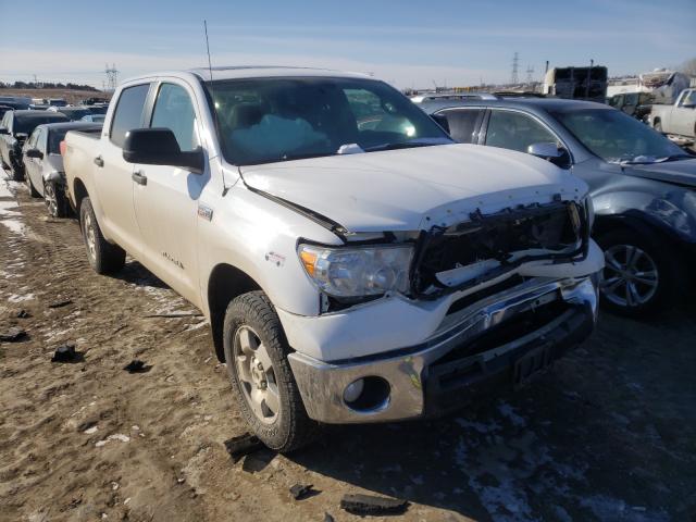 TOYOTA TUNDRA 2013 5tfdw5f12dx281423