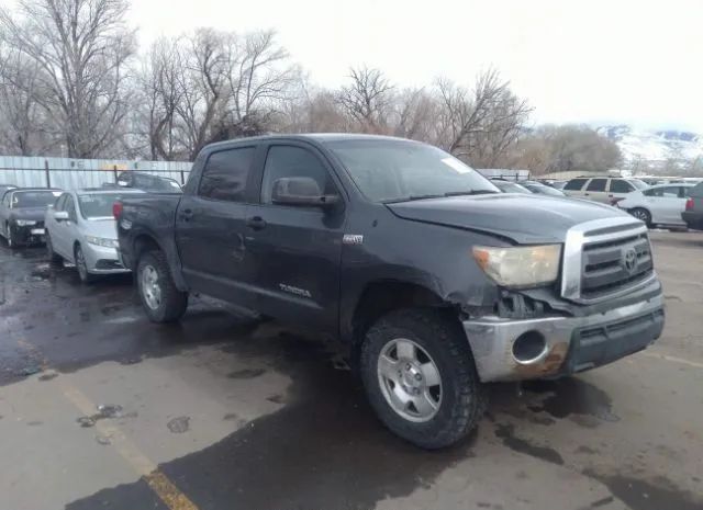 TOYOTA TUNDRA 4WD TRUCK 2010 5tfdw5f19ax144815