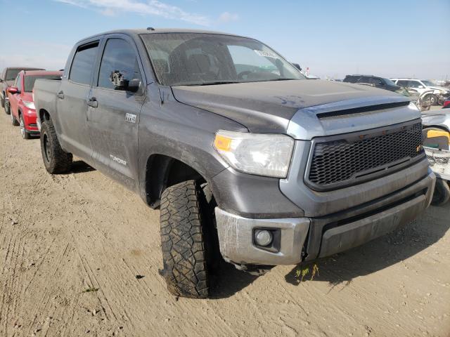 TOYOTA TUNDRA CRE 2015 5tfdw5f19fx464076