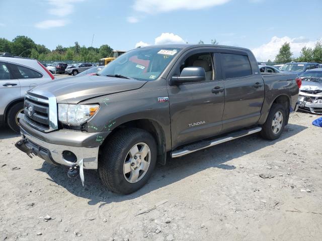 TOYOTA TUNDRA 2011 5tfdy5f11bx185807