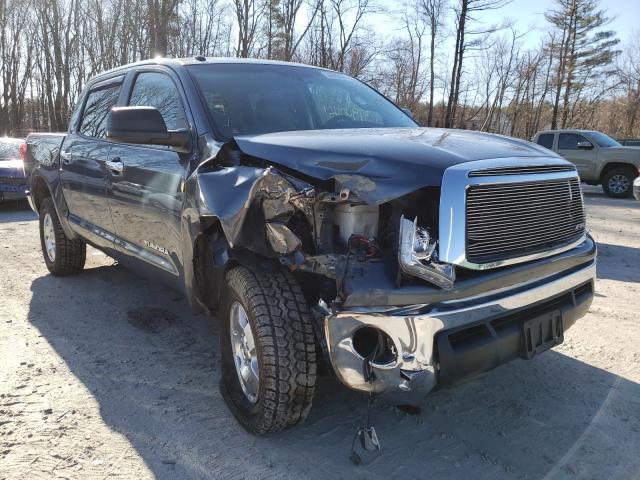 TOYOTA TUNDRA CRE 2010 5tfdy5f16ax101768