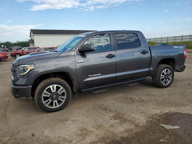 TOYOTA TUNDRA 2021 5tfdy5f17mx969315