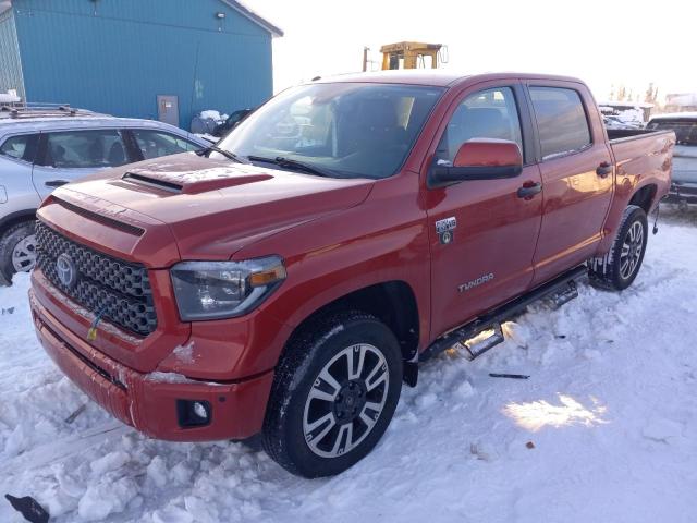 TOYOTA TUNDRA 2019 5tfdy5f18kx832459