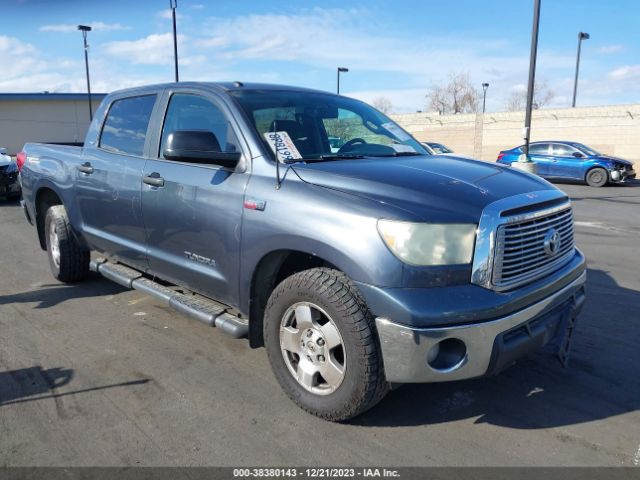 TOYOTA TUNDRA 2010 5tfey5f13ax090183