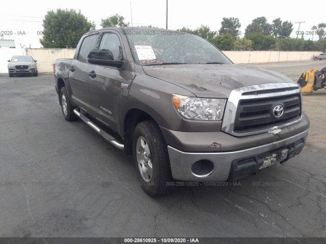 TOYOTA TUNDRA 2WD TRUCK 2010 5tfey5f15ax084952