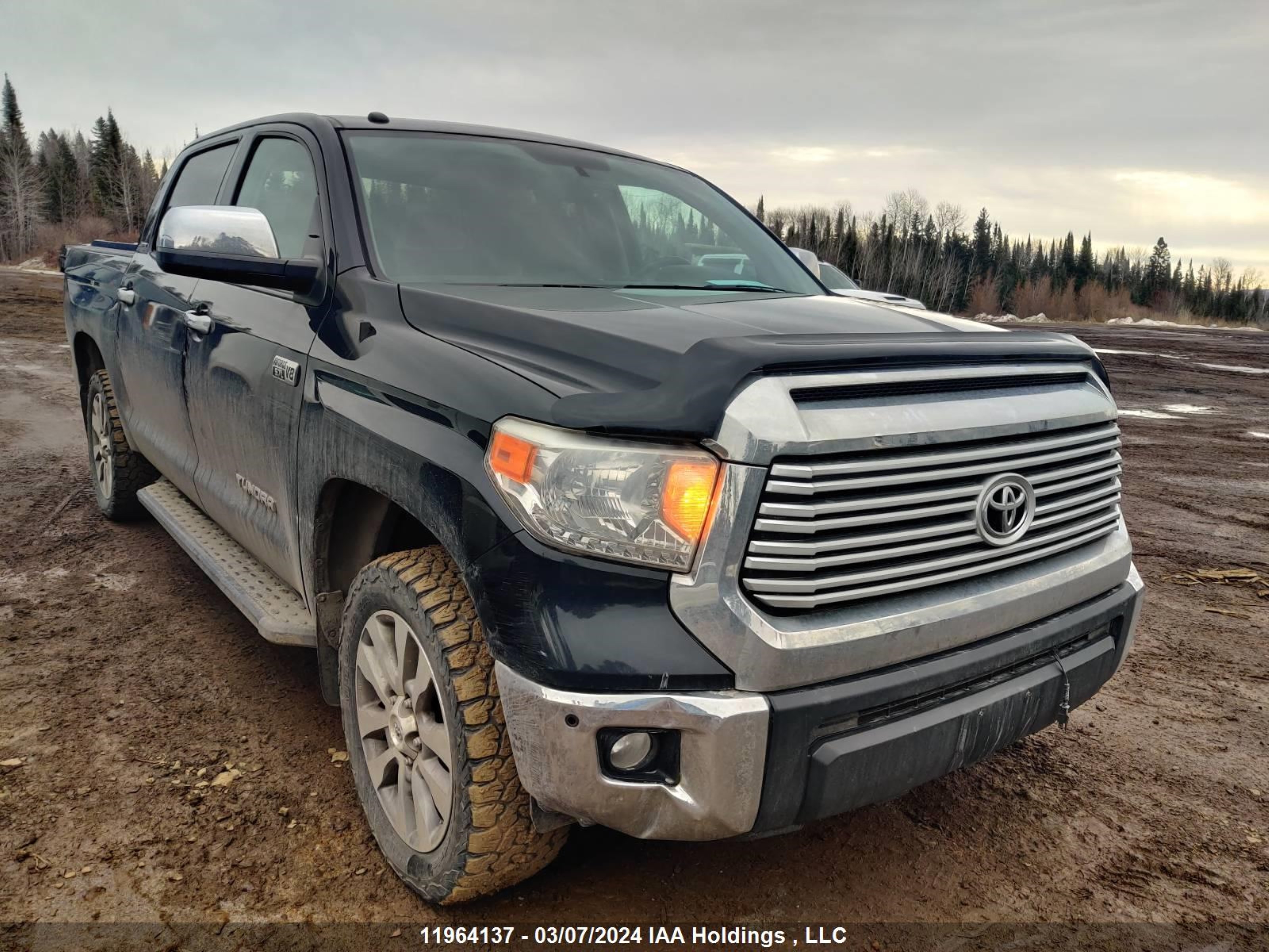 TOYOTA TUNDRA 2015 5tfhy5f10fx458100