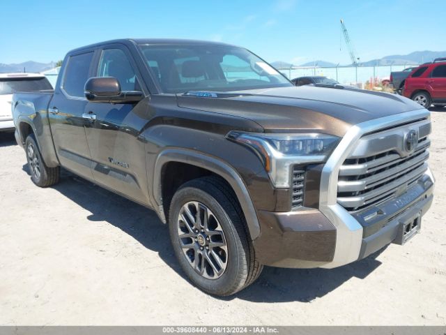 TOYOTA TUNDRA 2022 5tfjc5ec7nx001706