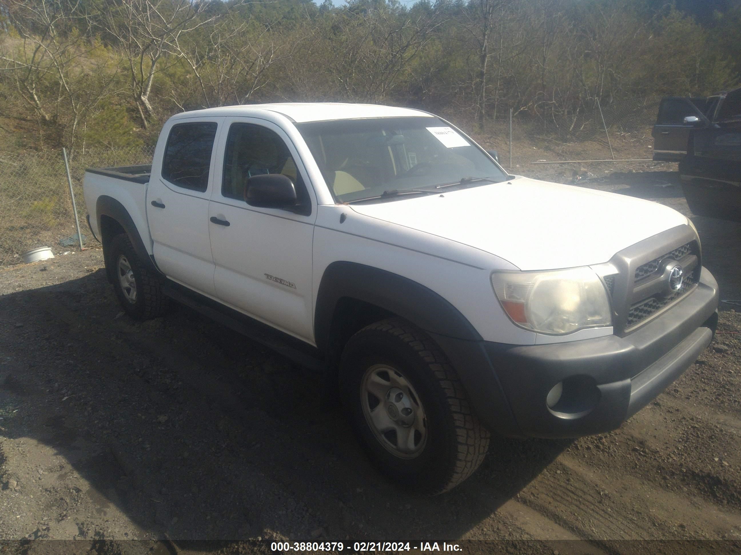 TOYOTA TACOMA 2011 5tfjx4gn6bx004184