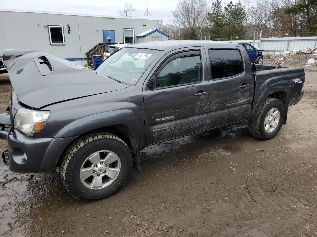 TOYOTA TACOMA 2011 5tflu4en4bx015494