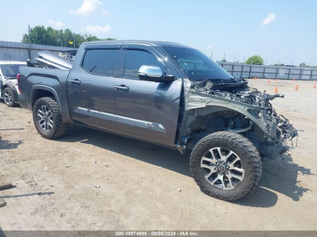 TOYOTA TUNDRA 2023 5tfma5db4px079116