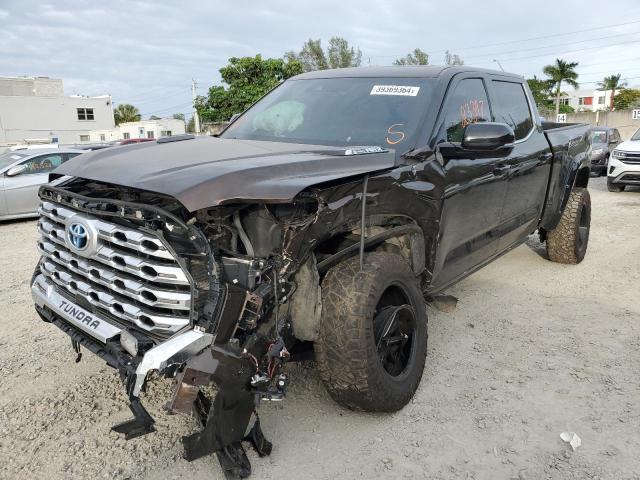 TOYOTA TUNDRA 2022 5tfmc5ec4nx001904