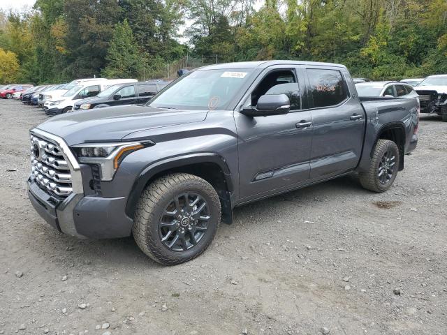 TOYOTA TUNDRA 2022 5tfna5db0nx010862