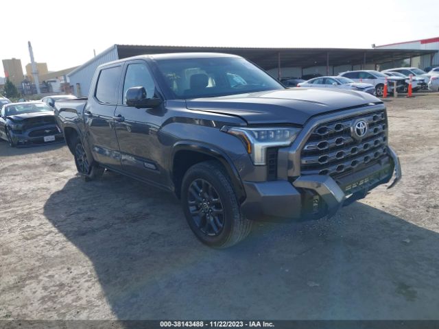 TOYOTA TUNDRA 2023 5tfna5db0px079151