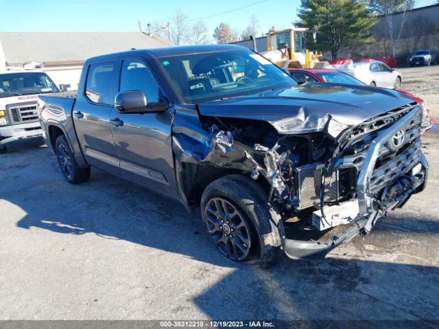 TOYOTA TUNDRA 2022 5tfna5dbxnx040239