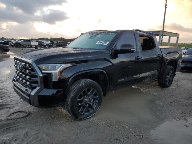 TOYOTA TUNDRA CRE 2023 5tfna5dbxpx066472