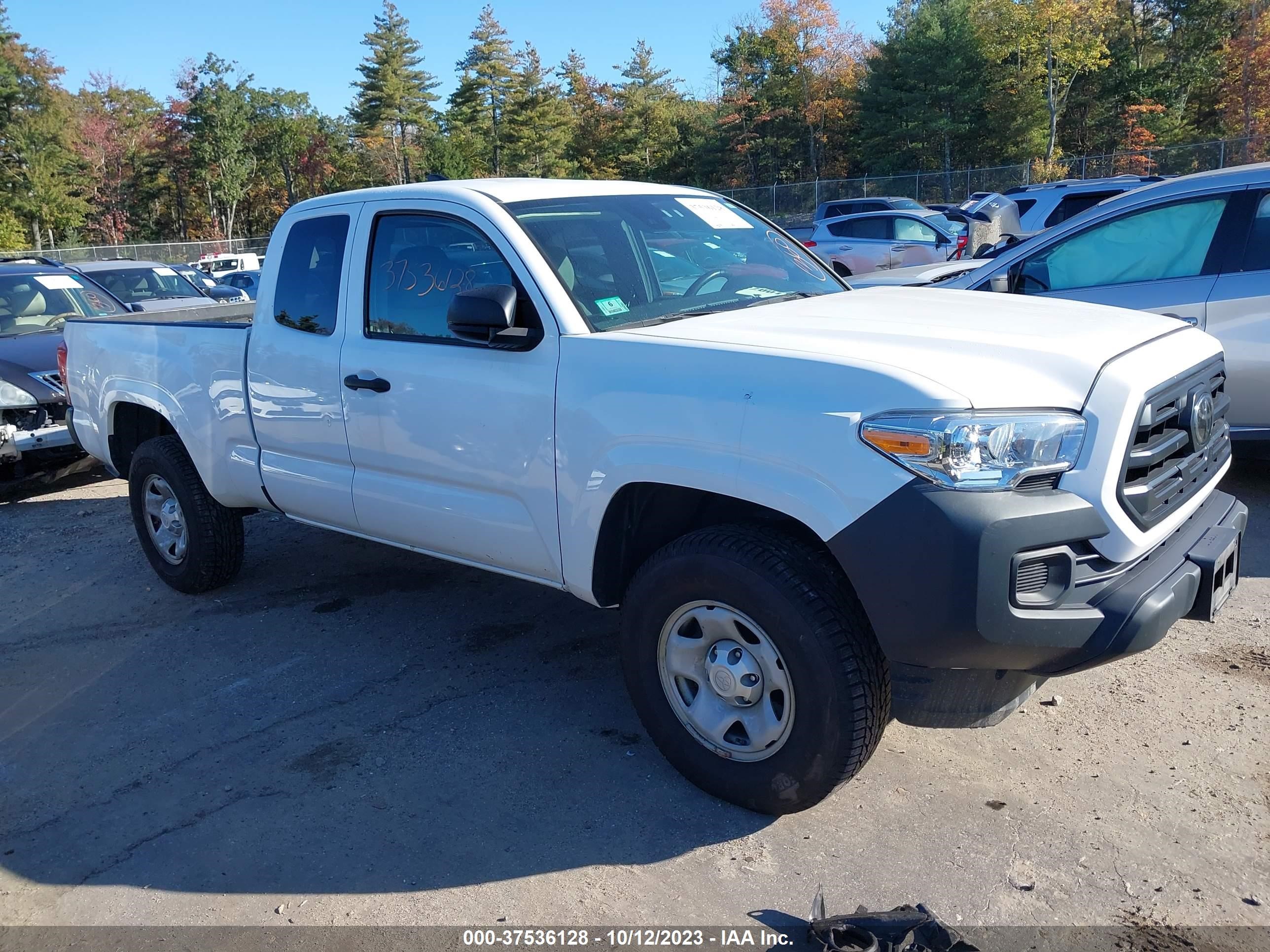 TOYOTA TACOMA 2019 5tfrx5gn3kx155069