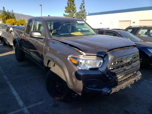 TOYOTA TACOMA ACC 2019 5tfrx5gn5kx134904