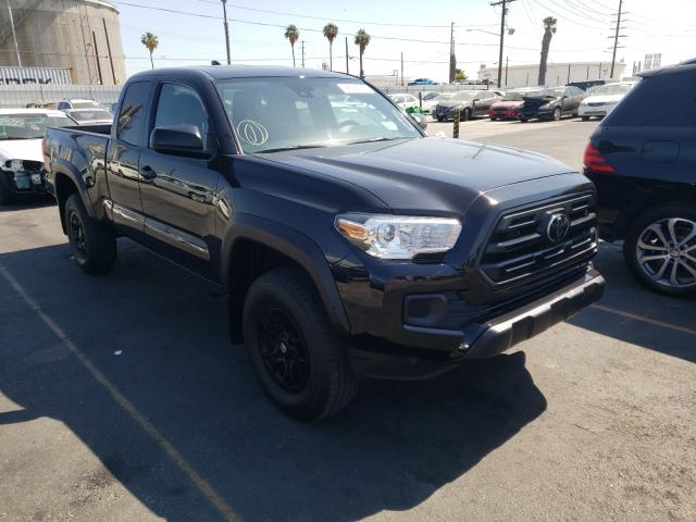 TOYOTA TACOMA ACC 2019 5tfrx5gnxkx136275