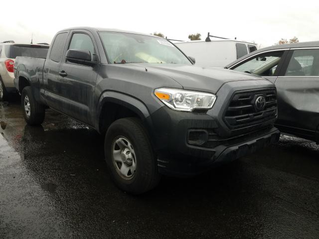 TOYOTA TACOMA ACC 2019 5tfrx5gnxkx152444