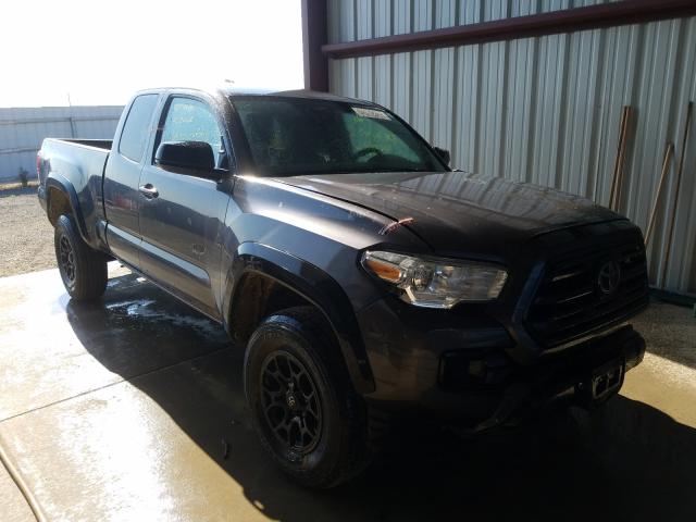 TOYOTA TACOMA ACC 2019 5tfsz5an6kx166541