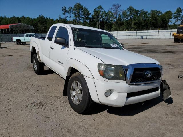 TOYOTA TACOMA PRE 2011 5tftu4gn4bx006176