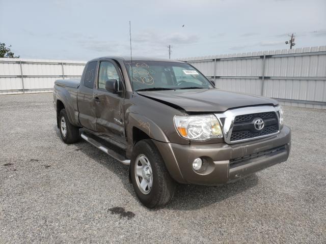 TOYOTA TACOMA PRE 2011 5tftu4gn6bx009239