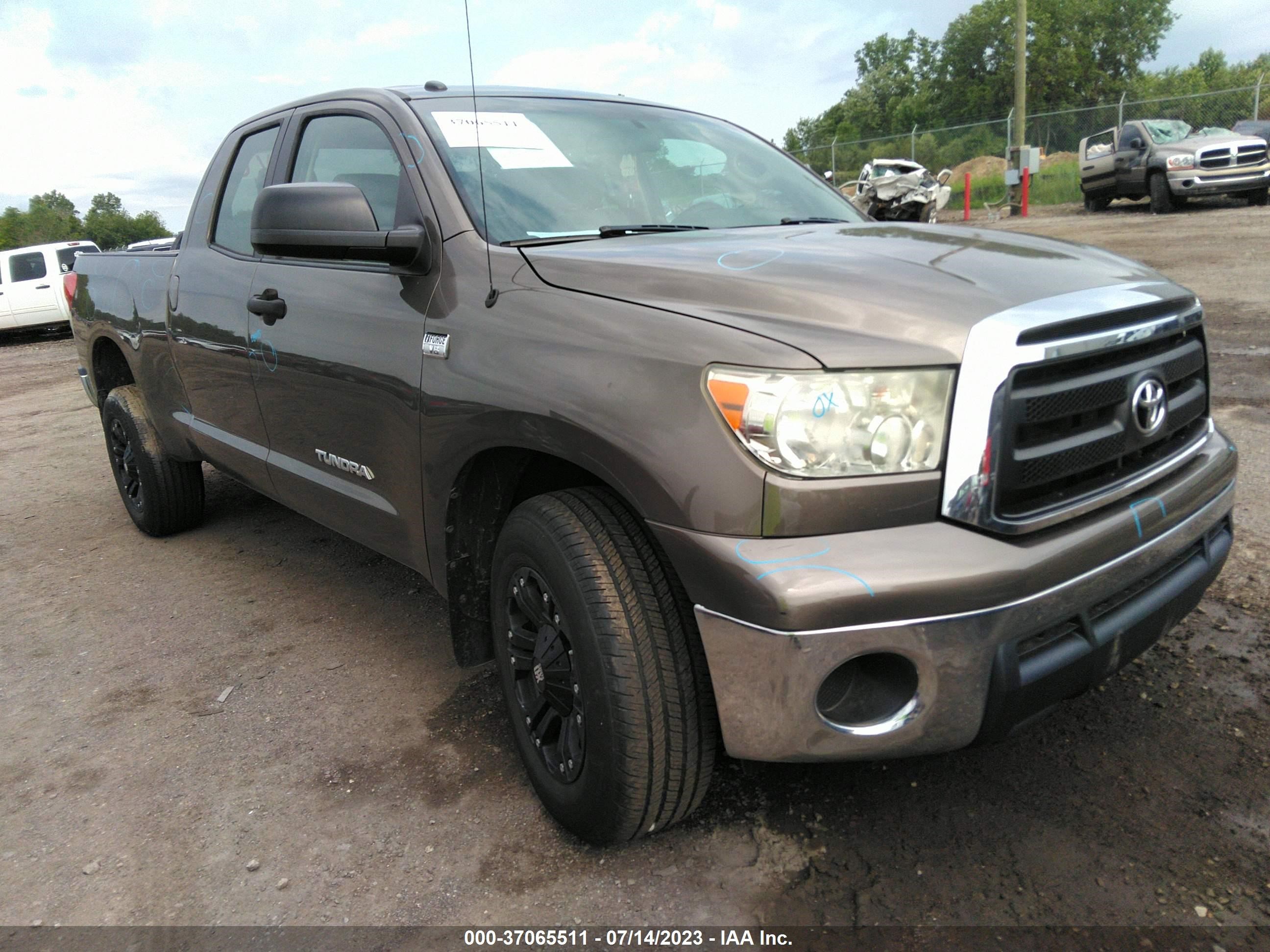 TOYOTA TUNDRA 2010 5tfum5f13ax006757