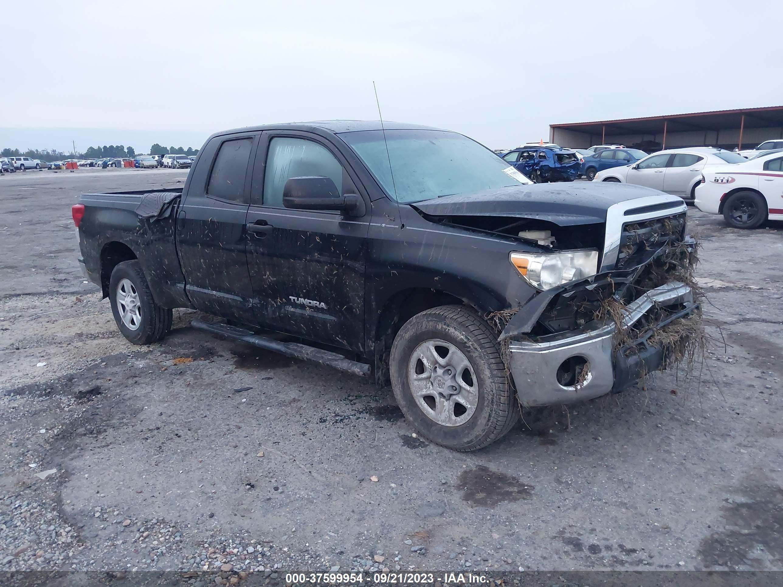 TOYOTA TUNDRA 2011 5tfum5f18bx018680