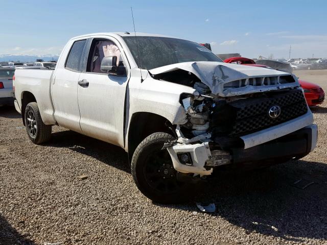 TOYOTA TUNDRA DOU 2019 5tfuy5f10kx795925