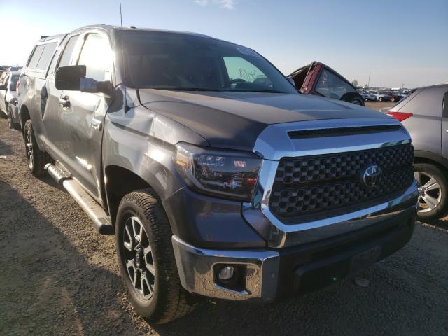 TOYOTA TUNDRA DOU 2019 5tfuy5f11kx782553