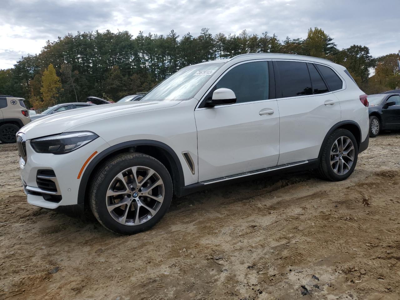 BMW X5 2023 5uxcr6c06p9p65820