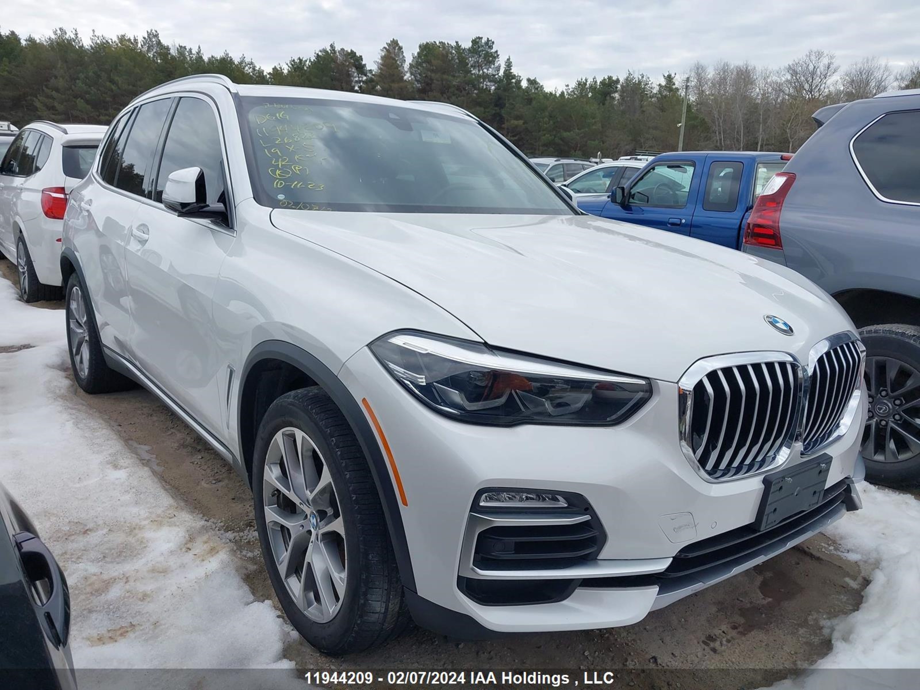 BMW X5 2019 5uxcr6c58kll26822