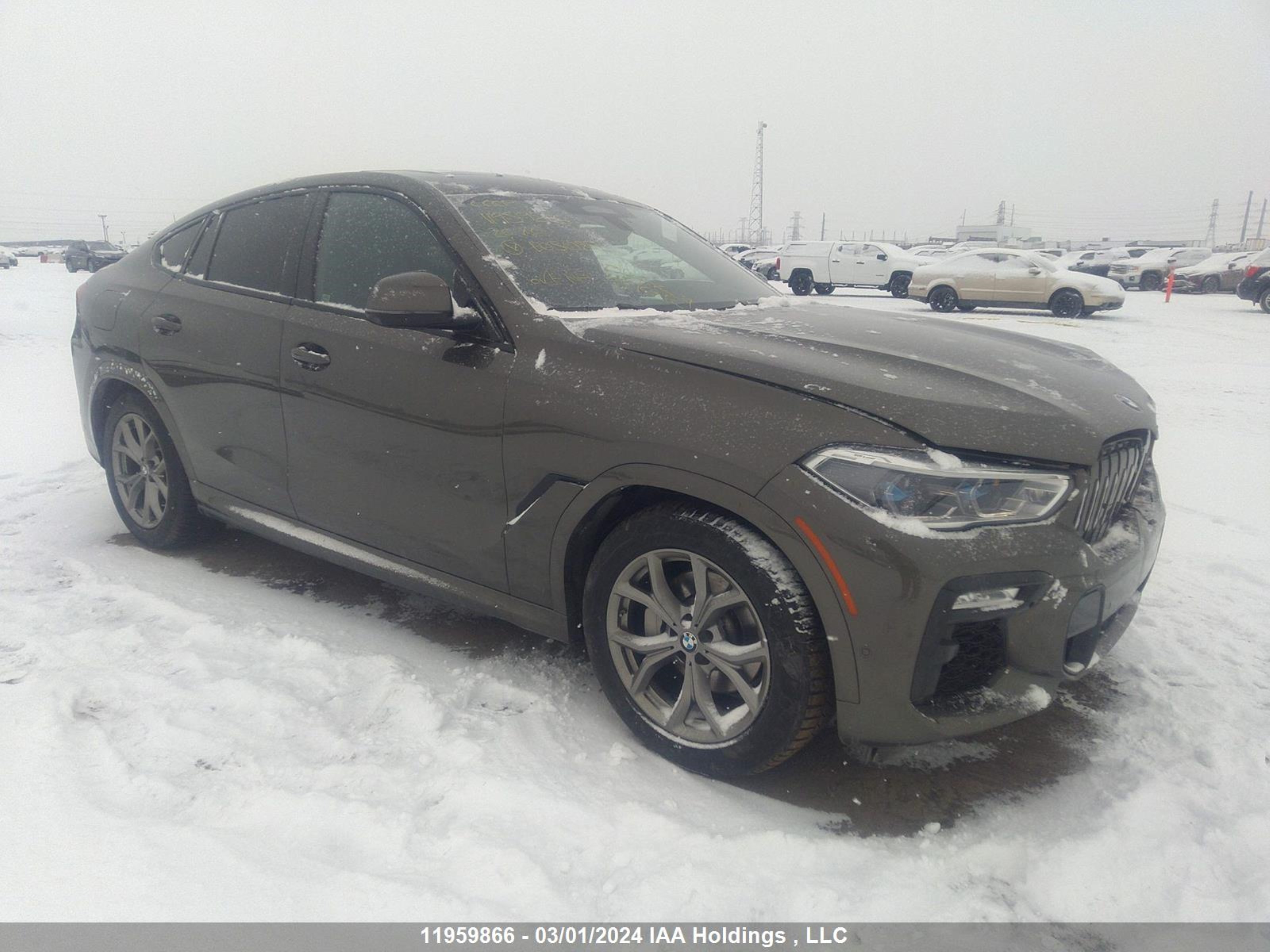 BMW X6 2020 5uxcy6c09l9b05089