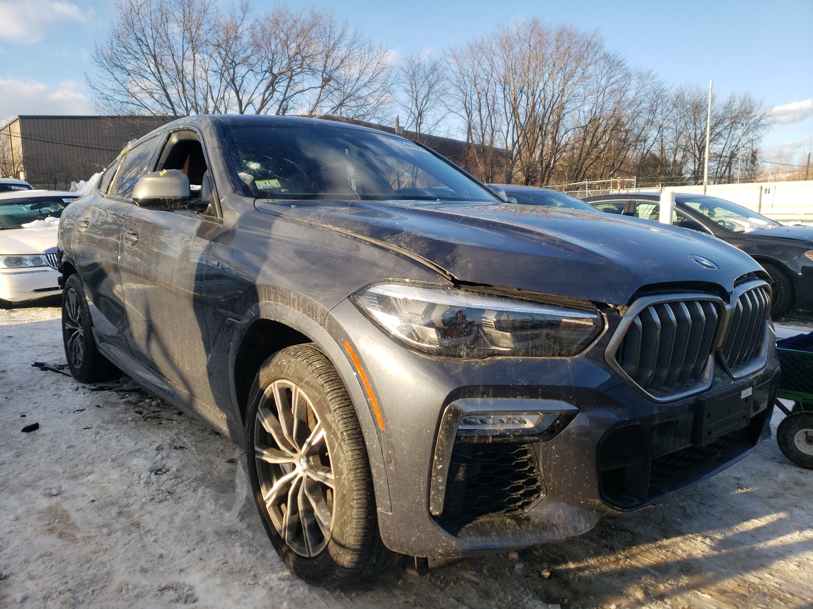 BMW X6 2019 5uxcy8c02l9b11294