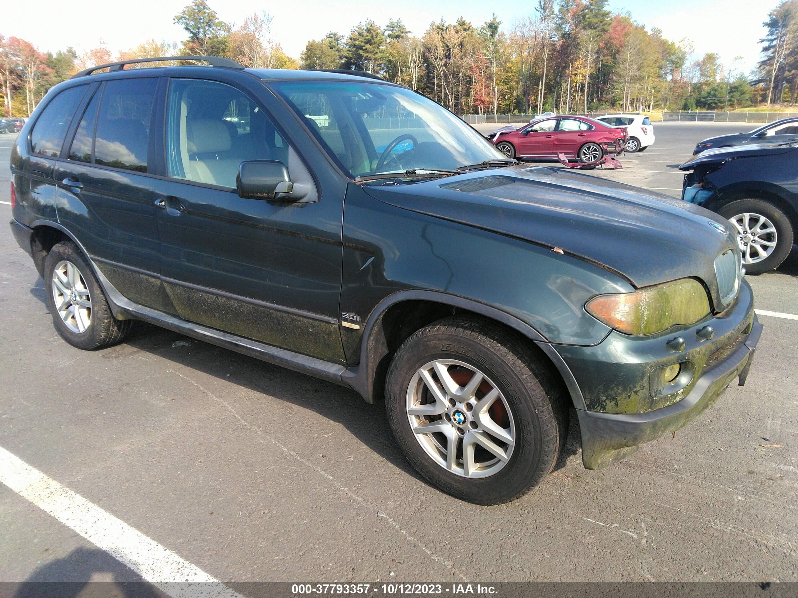 BMW X5 2006 5uxfa13516ly26852