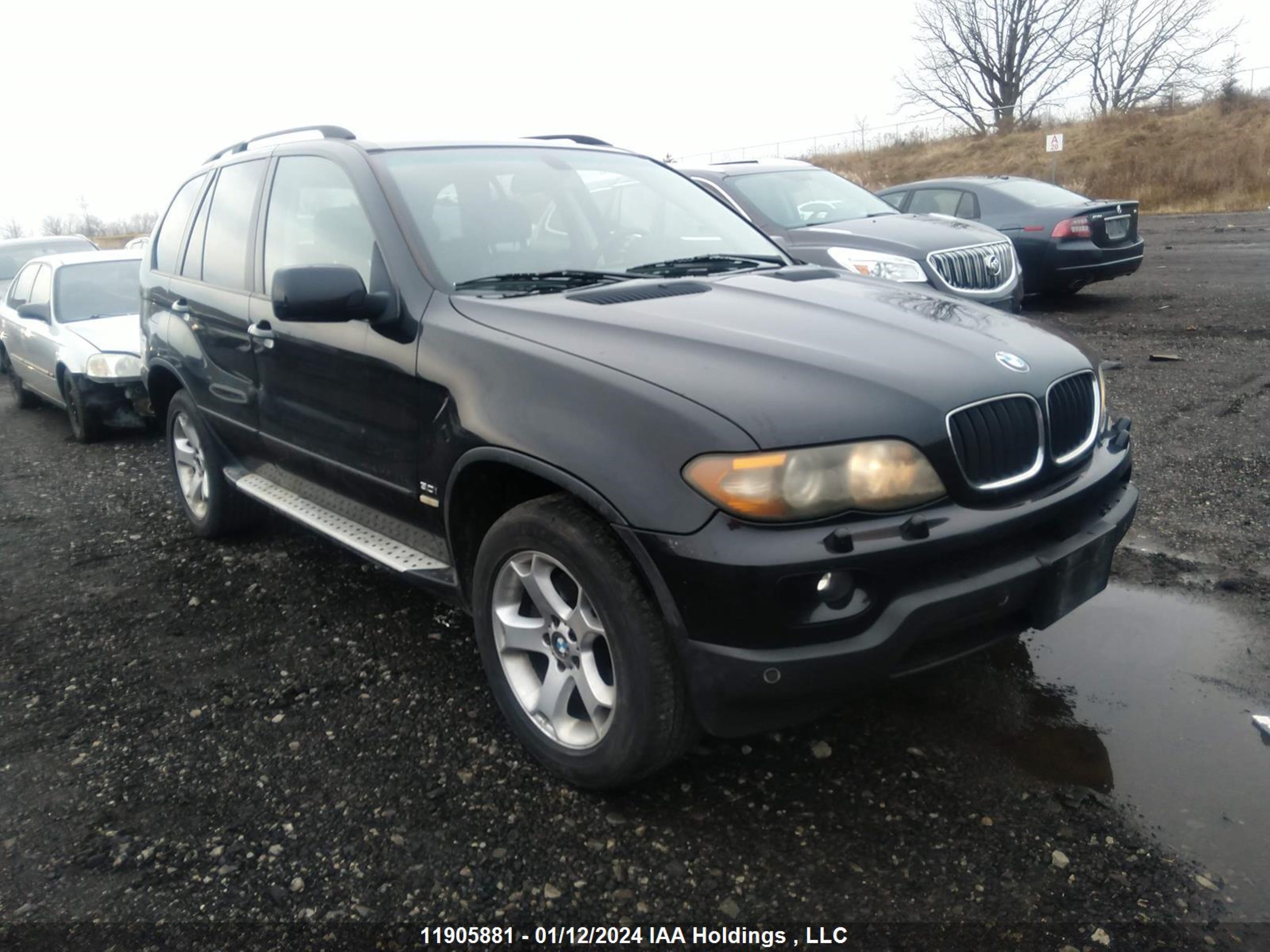 BMW X5 2006 5uxfa13516ly30142